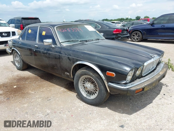 1982 Jaguar XJ with VIN SAJAV1248CC341050, listed as a IAAI auction lot 42653594 with Not provided miles and . Bid and sale history available at DreamBid. Image 1.