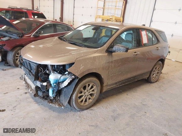 2019 Chevrolet Equinox LS with VIN 2GNAXHEV8K6282263, listed as a IAAI auction lot 41738714 with 49,551 mi miles. Bid and sale history available at carsss.com. Image 2.