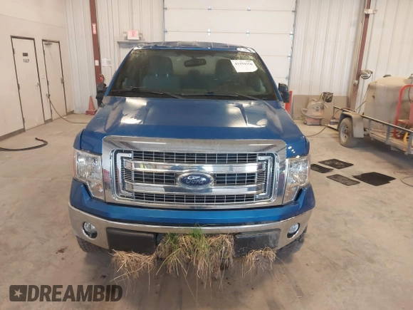 2014 Ford F-150 XL with VIN 1FTEX1EM2EFC07125, listed as a IAAI auction lot 42294350 with 134,160 mi miles and . Bid and sale history available at DreamBid. Image 12.