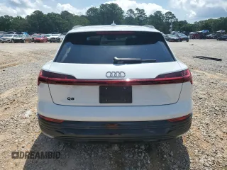 2024 Audi Q8 e-tron z VIN WA16AAGE9RB020144, wystawiony jako Copart lot #57145455 z przebiegiem 23 799 mil mil oraz Szkoda całkowita • Salvage title. Historia ofert i sprzedaży dostępna na DreamBid. Obrazek 6.