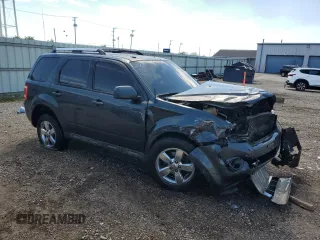 2009 Ford Escape Limited with VIN 1FMCU04G99KA65225, listed as a Copart auction lot 55912495 with 161,849 mi miles and Salvage title. Bid and sale history available at DreamBid. Image 4.