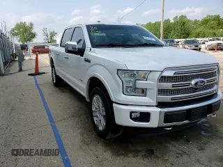 2015 Ford F-150 XLT with VIN 1FTEW1EG8FFC20685, listed as a Copart auction lot 60449545 with 117,935 mi miles and Salvage title. Bid and sale history available at DreamBid. Image 13.