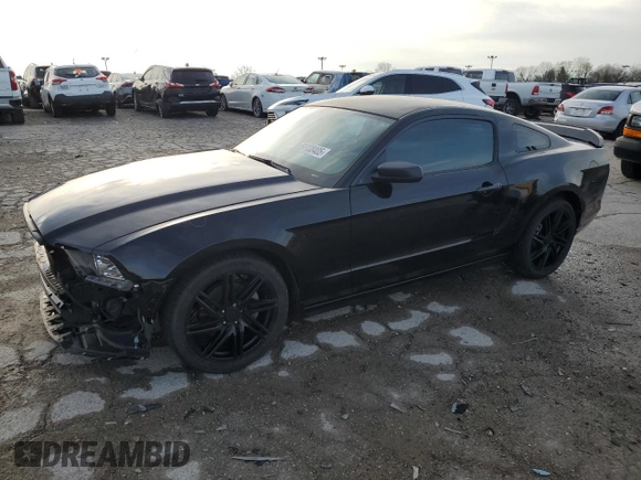 2013 Ford Mustang V6 with VIN 1ZVBP8AM3D5259477, listed as a Copart auction lot 51138405 with 104,667 mi miles and Salvage Title. Bid and sale history available at carsss.com. Image 1.