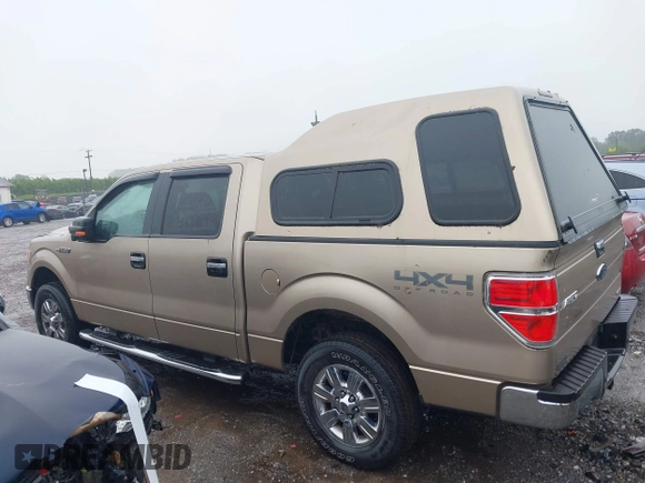 2011 Ford F-150 XL with VIN 1FTFW1EF3BFA29584, listed as a IAAI auction lot 42332223 with 74,283 mi miles and . Bid and sale history available at DreamBid. Image 14.