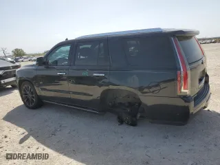 2019 Cadillac Escalade Premium Luxury with VIN 1GYS4CKJ9KR373261, listed as a Copart auction lot 48006165 with 103,341 mi miles and Salvage Title. Bid and sale history available at carsss.com. Image 2.