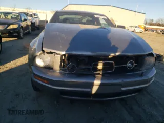 2009 Ford Mustang with VIN 1ZVHT80N795122341, listed as a Copart auction lot 80697973 with 123,219 mi miles and Salvage title. Bid and sale history available at DreamBid. Image 5.