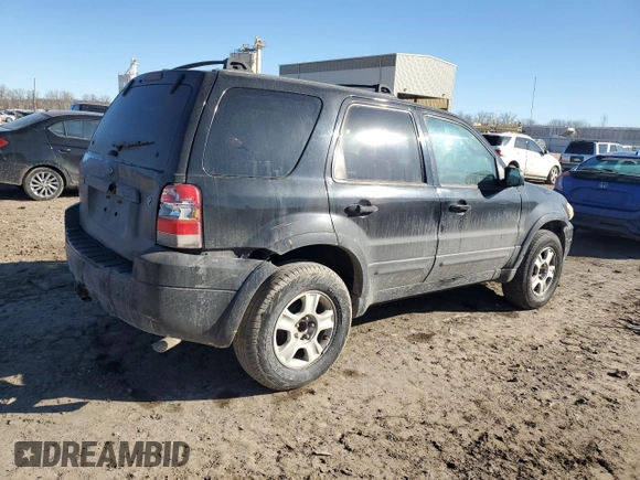 2006 Ford Escape Limited with VIN 1FMYU04196KA34229, listed as a Copart auction lot 46709785 with 203,203 mi miles and Salvage title. Bid and sale history available at DreamBid. Image 3.