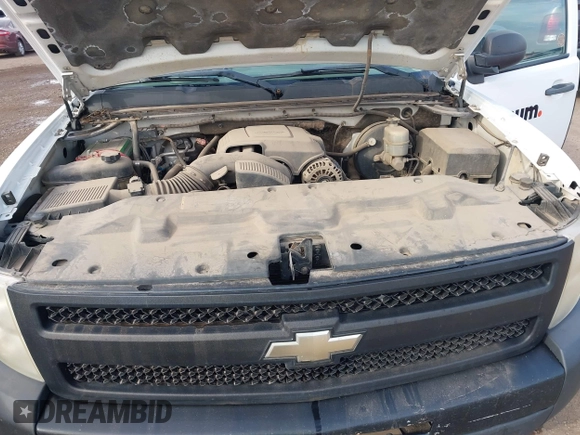 2009 Chevrolet Silverado 1500 Work Truck with VIN 1GCEK14CX9Z219485, listed as a IAAI auction lot 41863746 with 178,167 mi miles. Bid and sale history available at carsss.com. Image 10.