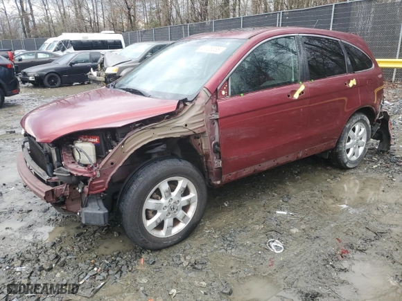 2009 Honda CR-V EX with VIN 5J6RE48559L046039, listed as a Copart auction lot 43125035 with 124,417 mi miles and Salvage Title. Bid and sale history available at carsss.com. Image 1.