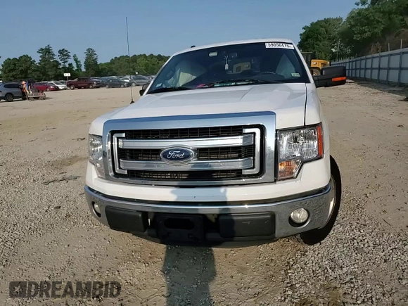 2013 Ford F-150 XL z VIN 1FTFX1CF8DFD52581, wystawiony jako Copart lot #59056415 z przebiegiem 240 688 mil mil oraz Szkoda całkowita • Salvage title. Historia ofert i sprzedaży dostępna na DreamBid. Obrazek 13.
