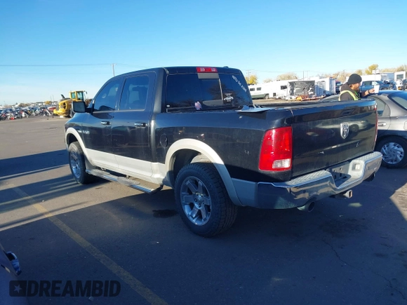 2009 Dodge 1500 SLT with VIN 1D3HV13T79J528679, listed as a IAAI auction lot 40873674 with Not Provided miles and . Bid and sale history available at DreamBid. Image 3.