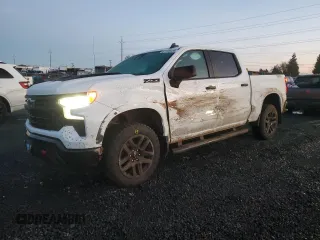 2023 Chevrolet Silverado 1500 LT Trail Boss with VIN 3GCUDFE88PG190420, listed as a Copart auction lot 87728935 with 54,396 mi miles and Salvage Title. Bid and sale history available at DreamBid. Image 1.