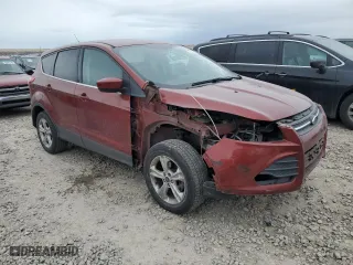 2014 Ford Escape SE with VIN 1FMCU0GX4EUE41050, listed as a Copart auction lot 43530505 with 186,850 mi miles and Salvage Title. Bid and sale history available at carsss.com. Image 4.