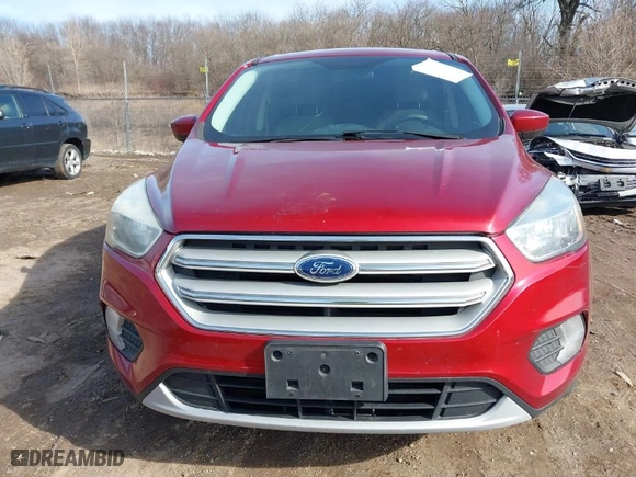 2017 Ford Escape SE with VIN 1FMCU0GD5HUB46016, listed as a IAAI auction lot 41776549 with 163,081 mi miles. Bid and sale history available at carsss.com. Image 6.
