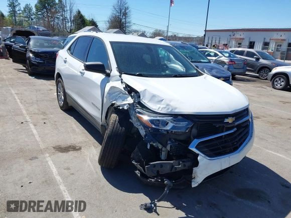 2019 Chevrolet Equinox LS with VIN 3GNAXSEV9KS628996, listed as a IAAI auction lot 41816008 with 133,408 mi miles and . Bid and sale history available at DreamBid. Image 1.