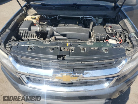 2015 Chevrolet Colorado 4WD WT with VIN 1GCHTAEA2F1215898, listed as a Copart auction lot 49644255 with 333,463 mi miles and Clean Title. Bid and sale history available at DreamBid. Image 11.