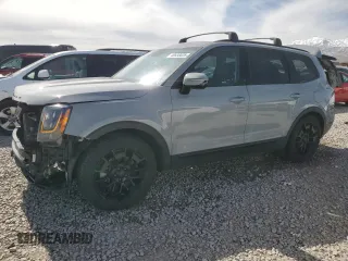 2021 Kia Telluride SX with VIN 5XYP5DHC7MG131111, listed as a Copart auction lot 46658025 with 106,314 mi miles and Salvage Title. Bid and sale history available at carsss.com. Image 1.