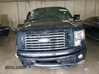 2012 Ford F-150 XL with VIN 1FTFW1ET9CFC32244, listed as a Copart auction lot 60794185 with 219,248 mi miles and Salvage title. Bid and sale history available at DreamBid. Image 5.