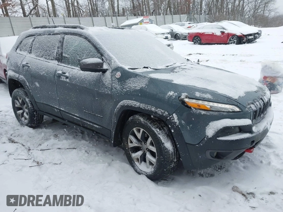 2014 Jeep Cherokee Trailhawk with VIN 1C4PJMBB9EW162280, listed as a IAAI auction lot 41341238 with 135,231 mi miles. Bid and sale history available at carsss.com. Image 1.