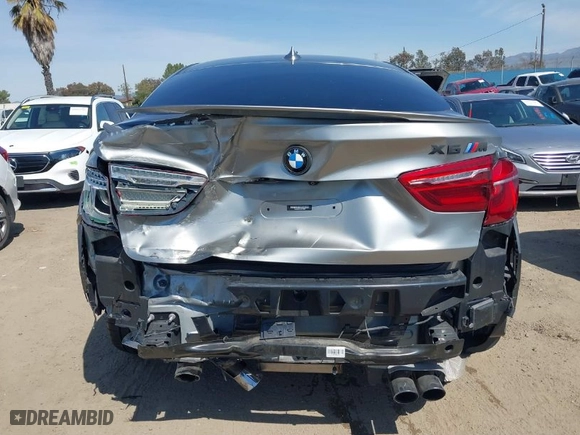 2019 BMW X6 M with VIN 5YMKW8C5XK0Y74895, listed as a IAAI auction lot 41847396 with NaN miles. Bid and sale history available at carsss.com. Image 17.