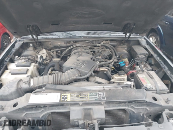 2002 Ford Explorer Sport Trac Value with VIN 1FMZU67E22UD07239, listed as a IAAI auction lot 42088812 with 224,009 mi miles and . Bid and sale history available at DreamBid. Image 10.