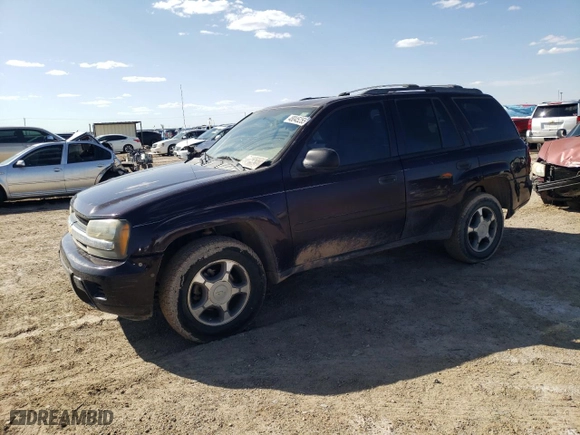 2008 Chevrolet TrailBlazer Fleet w/2FL with VIN 1GNDT13S982106806, listed as a Copart auction lot 48045255 with 132,747 mi miles and Salvage Title. Bid and sale history available at carsss.com. Image 1.