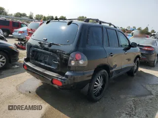 2003 Hyundai Santa Fe GLS with VIN KM8SC13D63U360869, listed as a Copart auction lot 70447874 with 206,488 mi miles and Salvage Title. Bid and sale history available at carsss.com. Image 3.