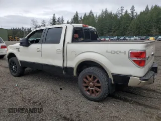2009 Ford F-150 XL with VIN 1FTPW14V89KC35465, listed as a Copart auction lot 49930615 with 165,726 mi miles and Clean Title. Bid and sale history available at carsss.com. Image 2.