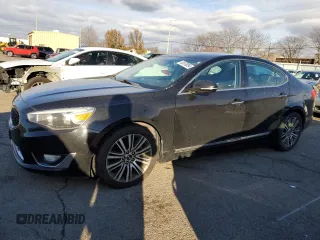 2014 Kia Cadenza Premium with VIN KNALN4D74E5145708, listed as a Copart auction lot 83370854 with 246,354 mi miles and Clean Title. Bid and sale history available at carsss.com. Image 1.