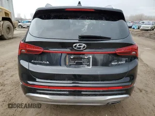 2021 Hyundai Santa Fe Calligraphy with VIN 5NMS5DALXMH347254, listed as a Copart auction lot 49868935 with 22,725 mi miles and Clean title. Bid and sale history available at DreamBid. Image 6.