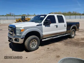 2011 Ford Super Duty F-250 SRW XL with VIN 1FT7W2BT5BEC94274, listed as a Copart auction lot 52419225 with 317,079 mi miles and Salvage Title. Bid and sale history available at carsss.com. Image 1.