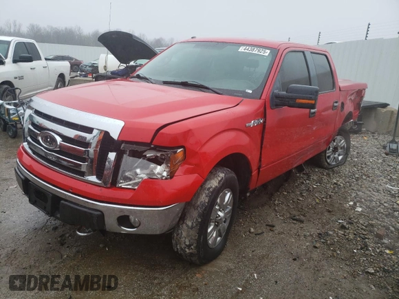 2009 Ford F-150 XL z VIN 1FTPW14V79FA62790, wystawiony jako Copart lot #44387925 z przebiegiem 154 625 mil mil oraz Nie do naprawy • Non repairable. Historia ofert i sprzedaży dostępna na DreamBid. Obrazek 1.