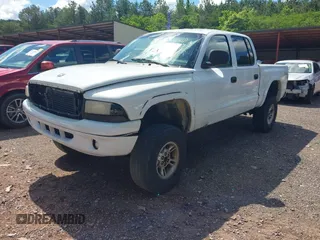 2000 Dodge Dakota Sport z VIN 1B7GG2AN2YS636449, wystawiony jako IAAI lot #42154548 z przebiegiem 186 126 mil mil oraz . Historia ofert i sprzedaży dostępna na DreamBid. Obrazek 2.