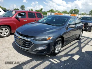 2019 Chevrolet Malibu LS with VIN 1G1ZB5ST5KF194264, listed as a Copart auction lot 53689504 with 66,218 mi miles and Salvage Title. Bid and sale history available at DreamBid. Image 1.