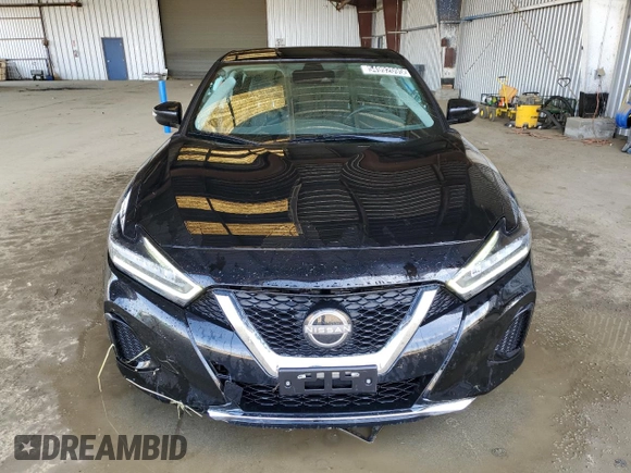 2023 Nissan Maxima SV с VIN 1N4AA6CVXPC511712, выставлен на аукционе Copart как лот 54992095 с пробегом 41 118 миль миль и Чистый • Clean title. История ставок и продаж доступна на DreamBid. Изображение 5.