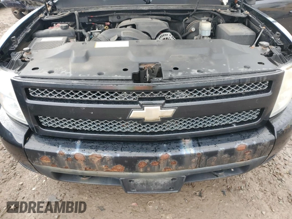 2007 Chevrolet Silverado 1500 1LT with VIN 1GCEK19087Z525953, listed as a Copart auction lot 49718225 with 124,641 mi miles and Clean Title. Bid and sale history available at DreamBid. Image 11.