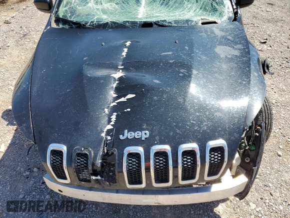 2014 Jeep Cherokee Latitude with VIN 1C4PJLCS9EW106042, listed as a Copart auction lot 53978945 with Not Provided miles and Clean Title. Bid and sale history available at DreamBid. Image 12.