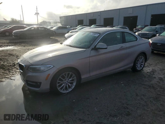 2016 BMW 2 Series 228i with VIN WBA1F9C50GV742181, listed as a Copart auction lot 71059013 with 109,252 mi miles. Bid and sale history available at carsss.com. Image 1.