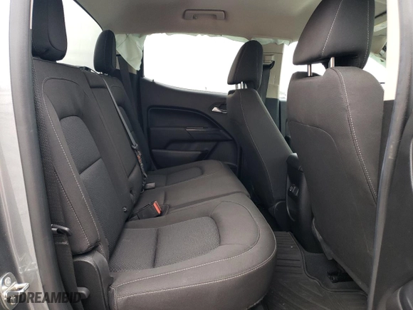 2019 Chevrolet Colorado 4WD LT with VIN 1GCGTCEN4K1165705, listed as a Copart auction lot 46176034 with 81,200 mi miles and Non Repairable. Bid and sale history available at carsss.com. Image 10.