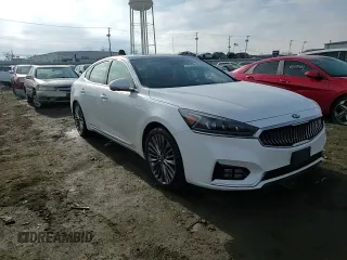 2019 Kia Cadenza Technology with VIN KNALC4J16K5159529, listed as a Copart auction lot 85500204 with 49,516 mi miles and Salvage Title. Bid and sale history available at carsss.com. Image 13.