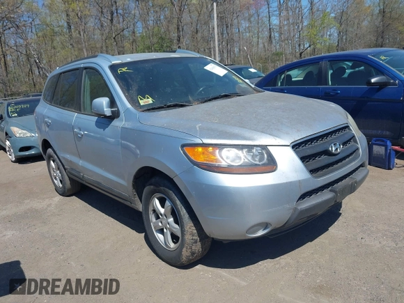 2007 Hyundai Santa Fe GLS with VIN 5NMSG13DX7H055249, listed as a IAAI auction lot 42065670 with 125,203 mi miles and . Bid and sale history available at DreamBid. Image 1.