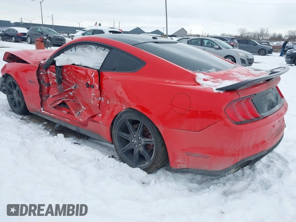 2019 Ford Mustang GT with VIN 1FA6P8CF7K5202124, listed as a IAAI auction lot 41626174 with 48,729 mi miles. Bid and sale history available at carsss.com. Image 3.