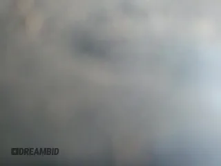 2019 Ram 1500 Longhorn with VIN 1C6SRFKT2KN911503, listed as a Copart auction lot 64874055 with 146,428 mi miles and Salvage title. Bid and sale history available at DreamBid. Image 13.