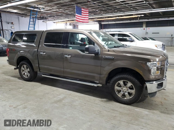 2016 Ford F-150 XLT with VIN 1FTEW1E88GFC81156, listed as a Copart auction lot 60503355 with 137,306 mi miles and Salvage title. Bid and sale history available at DreamBid. Image 4.