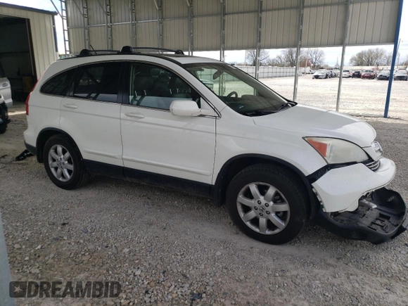 2007 Honda CR-V EX-L with VIN JHLRE48797C059772, listed as a Copart auction lot 50582785 with 255,581 mi miles and Salvage Title. Bid and sale history available at carsss.com. Image 4.