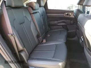2023 Kia Sorento X-Line S with VIN 5XYRLDLC1PG227648, listed as a Copart auction lot 80270424 with 10,097 mi miles and Clean Title. Bid and sale history available at carsss.com. Image 11.