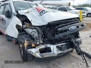 2019 Ford F-150 XL with VIN 1FTEW1CB9KFD18349, listed as a IAAI auction lot 41261246 with Not Provided miles and . Bid and sale history available at DreamBid. Image 6.
