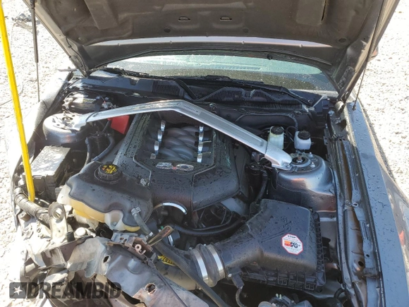 2013 Ford Mustang GT with VIN 1ZVBP8CF3D5246615, listed as a Copart auction lot 53124855 with Not provided miles and Salvage title. Bid and sale history available at DreamBid. Image 11.