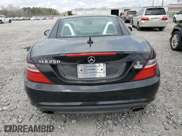 2013 Mercedes-Benz SLK 250 with VIN WDDPK4HA7DF073209, listed as a Copart auction lot 48878235 with 87,899 mi miles and Salvage title. Bid and sale history available at DreamBid. Image 6.