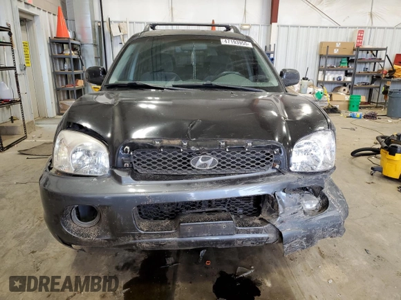 2003 Hyundai Santa Fe GLS with VIN KM8SC13D83U566100, listed as a Copart auction lot 47193955 with 166,060 mi miles and Non Repairable. Bid and sale history available at carsss.com. Image 5.